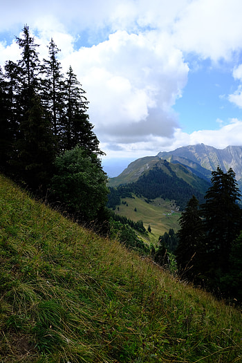 Nature, Landscape, Trees, Mountains, Greens, Mountain Range HD phone wallpaper