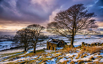 Upcoming Snowfall, clouds, trees, sky, snow, ruin HD wallpaper
