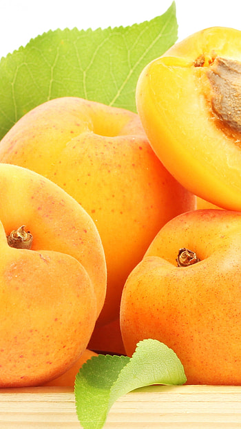 Apricot , Food 15358 HD phone wallpaper