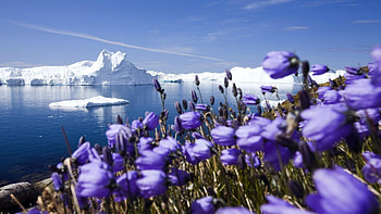 Greenland landscape, choice, Natural wonders, Breathtaking view HD wallpaper