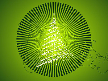 Christmas tree, holiday, green, christmas, tree HD wallpaper