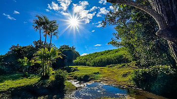 Clear Sky, trees, river, sky, nature HD wallpaper