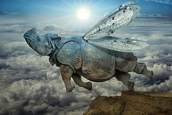 Clouds, Miscellanea, Miscellaneous, Flight, Wings, Rhinoceros, Icarus HD wallpaper