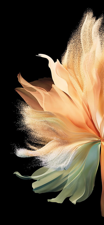 Flower, art, petal HD phone wallpaper