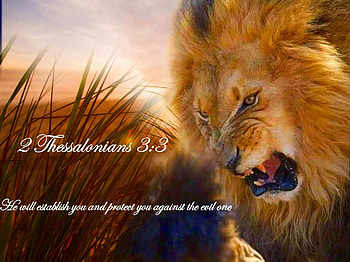 Lion Of Judah, orange, lion, colorful, white, black, vibrant, Jesus, vivid, yellow, bright, bold HD wallpaper