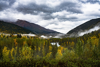 Landscape, Nature, Rivers, Mountains, Forest HD wallpaper