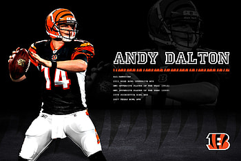 Andy Dalton Cincinnati Bengals qb, , 19, 2012, qb, 10, sport HD wallpaper