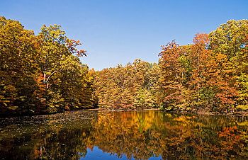 Beauty of autumn, reflection, colors, autumn, nature, water, lake, beauty HD wallpaper