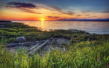 Nature, Rivers, Sunset, Canada, Shore, Bank HD wallpaper