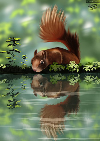 Squirrel, Art, Reflection, Beast HD phone wallpaper