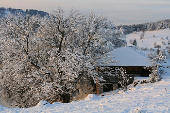 Snow cottage, snow, bulgaria, vratza, tree, mountain HD wallpaper