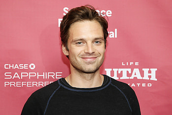 Sebastian Stan, Stunning , Actor's allure, Captivating visuals HD wallpaper