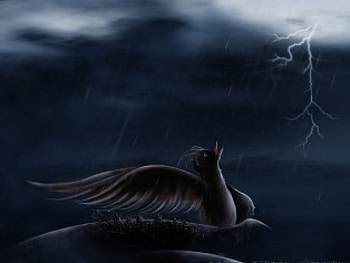 Lightning Bird, lightning, painting, bird, art, stormy night HD wallpaper