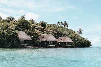 Idyllic overwater bungalows with lush greenery and turquoise waters in French Polynesia. HD wallpaper