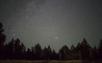 Nature, Trees, Night, Horizon, Starry Sky HD wallpaper