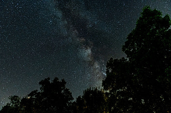 Trees, Stars, Night, Dark, Starry Sky, Milky Way HD wallpaper