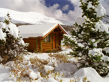 Landscape, Winter, Houses, Fir-Trees HD wallpaper