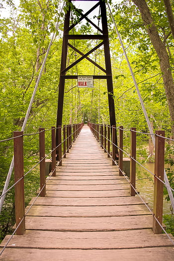 Scenic wooden footbridge in a green forest park on a sunny day. HD phone wallpaper