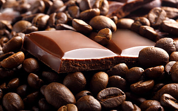 Chocolate, Coffee Beans HD wallpaper