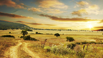 yellow sunset landscape, hills, yellow, town, clouds, fields, sunset HD wallpaper