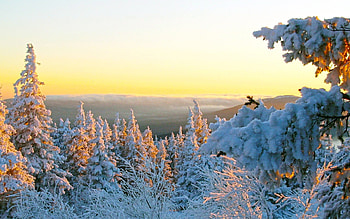 Landscape, Winter, Nature HD wallpaper