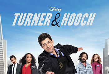 Josh Peck, , Hintergrnde HD wallpaper