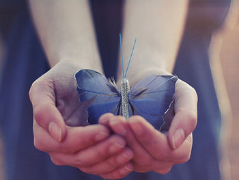 dom, blue, hands, girl, butterfly HD wallpaper