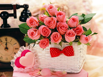 Rose Basket, white cane basket, pink roses, heart pillows, bow HD wallpaper