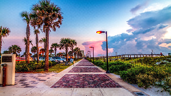 Key West travels, Florida nature wonders HD wallpaper