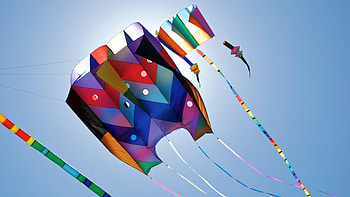 Kite Flying, Flying Kite , High Definition HD wallpaper