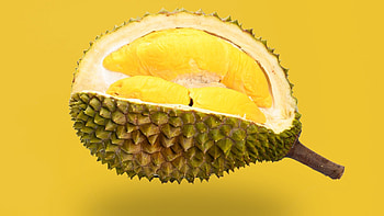 Durian , Stunning visuals, Tropical fruit, Nature's beauty HD wallpaper