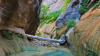 jammed log in slot canion in zion np, cliffs, log, canyon, strea, rocks HD wallpaper