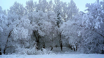 Landscape, Winter HD wallpaper