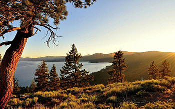 Nature, Trees, Sun, Lake, Beams, Rays, Hills HD wallpaper