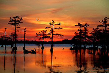Bayou Sunset, , Backgrounds HD wallpaper