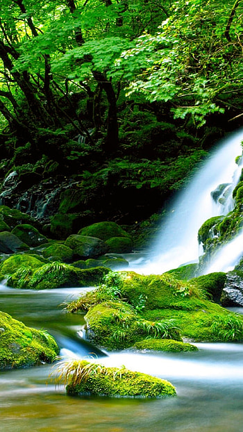 Green mossy waterfall, Forest enchantment, Nature's art, wonder HD phone wallpaper
