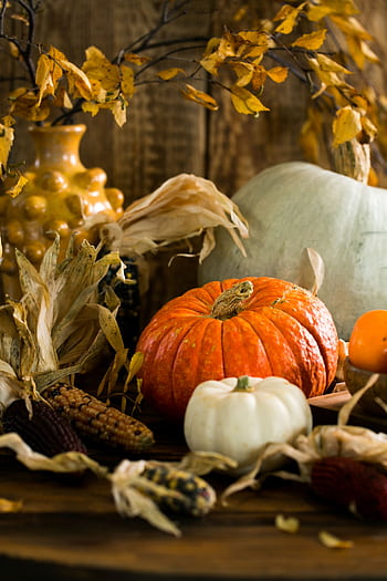 Warm and rustic still life of autumn harvest featuring pumpkins, gourds, and corn on a wooden table. HD phone wallpaper