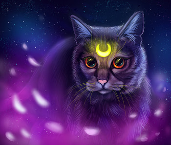 Art, Cat, Sight, Opinion, Glow, Symbol HD wallpaper