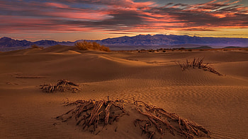 Sunset over desert, desert, graphy, sunset, beauty HD wallpaper