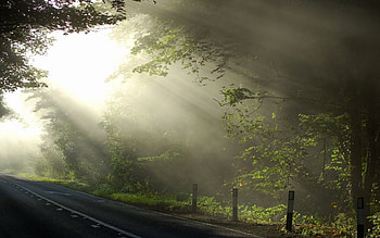 Nature, Sun, Wood, Beams, Rays, Road, Markup, Tree, Branches, Branch, Morning, Cool, Coolness HD wallpaper