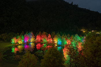 Nature, Trees, Night, Multicolored, Motley, Illumination, Backlight, Pond, Illuminations HD wallpaper