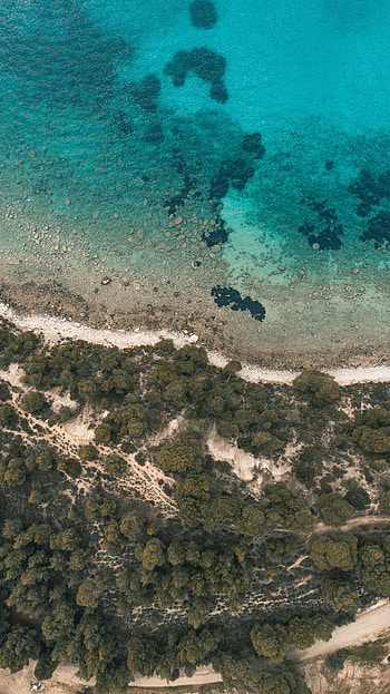 Nature, Trees, Stones, Beach, View From Above, Shore, Bank HD phone wallpaper