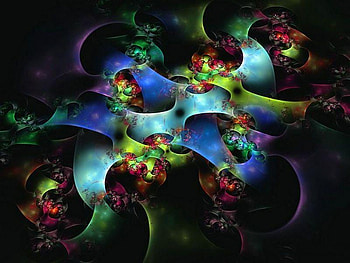 flowers, blue, black, green, red HD wallpaper