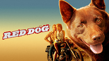 Red Dog movie, Loyal canine companion, Outback adventure, Heartwarming tale HD wallpaper