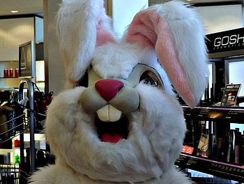 Happy Easter everyone, white, easter, costume, Bunny HD wallpaper