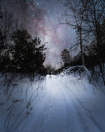 Winter, Night, Snow, Dark, Starry Sky, Human, Person, Loneliness HD phone wallpaper
