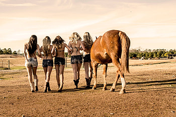 Best of Friends, dirt, horse, brunettes, cowgirls, horses, blondes, field, trees, boots, friends, shorts HD wallpaper