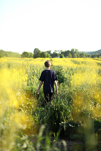 Nature, Flowers, Summer, Field, Stroll, Child HD phone wallpaper