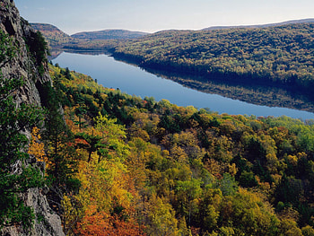 Nature, Rivers, Trees, View From Above, Forest HD wallpaper