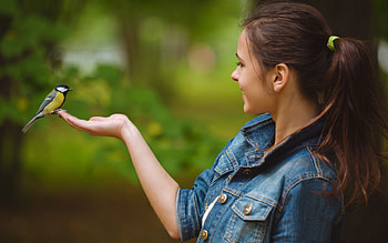 :), blue, bird, girl, woman, hand, jeans, blue tit, pitigoi, pasari HD wallpaper